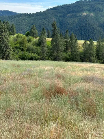 $110,500 | Nka Sunnyside Bench Road, Lenore, ID 83541