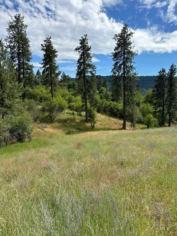 $110,500 | Nka Sunnyside Bench Road, Lenore, ID 83541