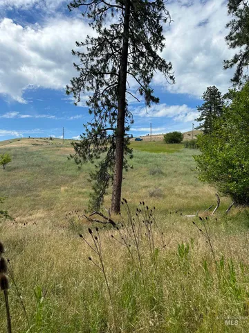 $110,500 | Nka Sunnyside Bench Road, Lenore, ID 83541