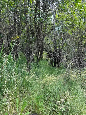 $110,500 | Nka Sunnyside Bench Road, Lenore, ID 83541