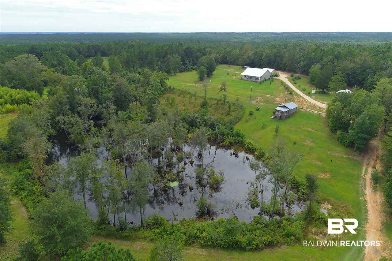 249 Camp Dixon Road Brewton, AL 36426 - Photo 3 of 48