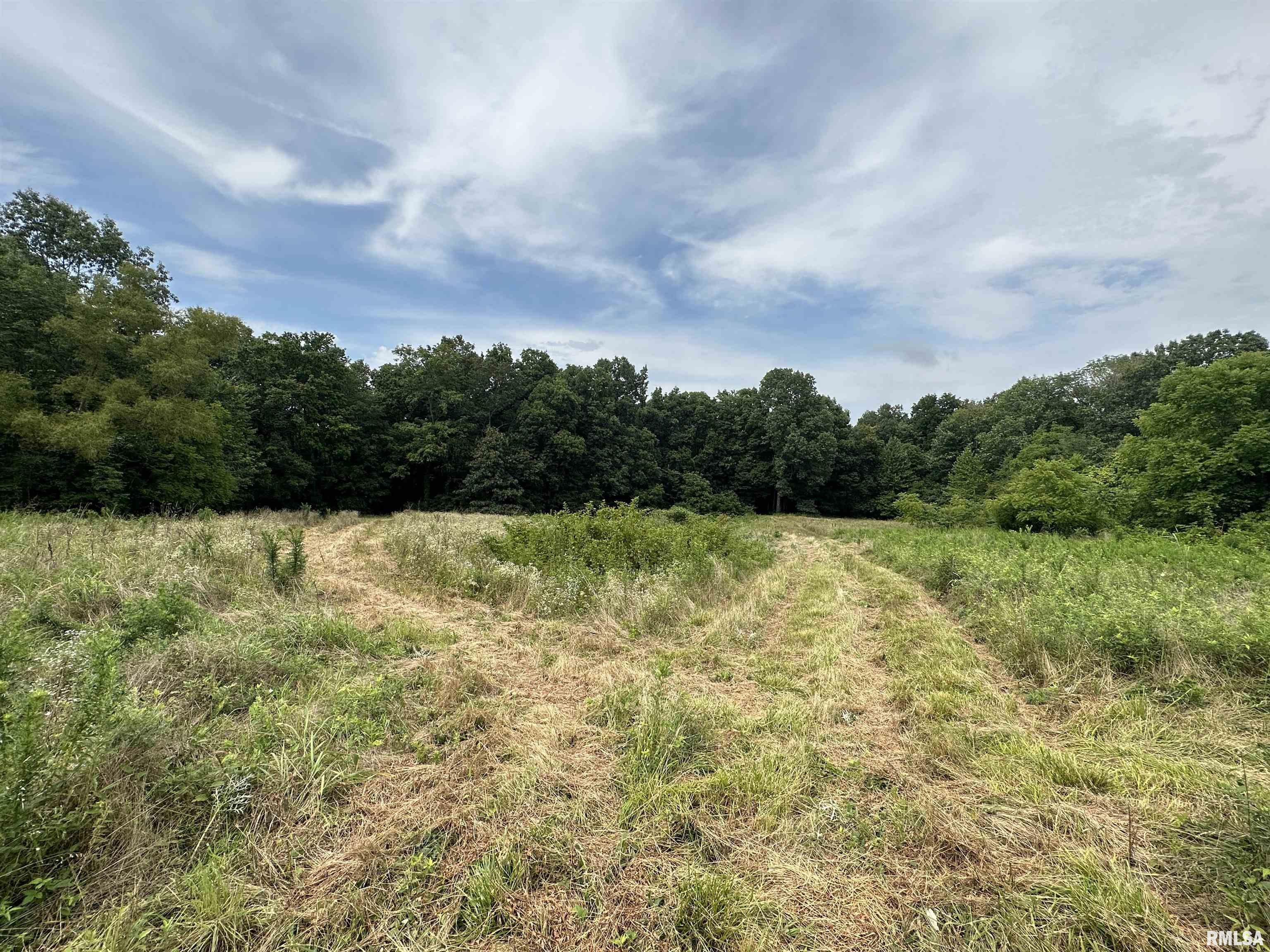3210 Burns Road Dongola, IL 62926 - Photo 47 of 57