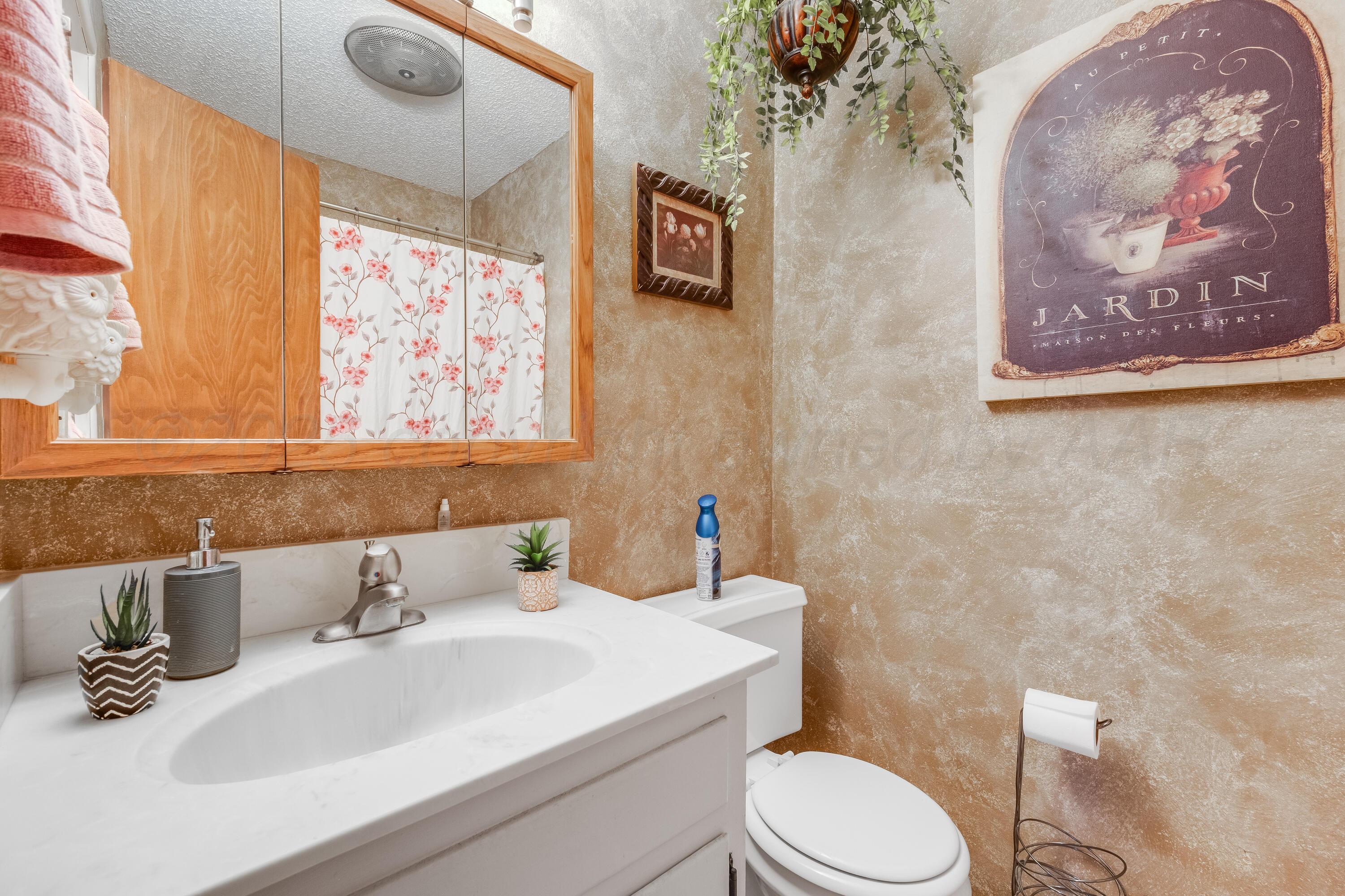 4819 South Rusk Street Amarillo, TX 79110 - Photo 18 of 31 Bathroom 2 - 1