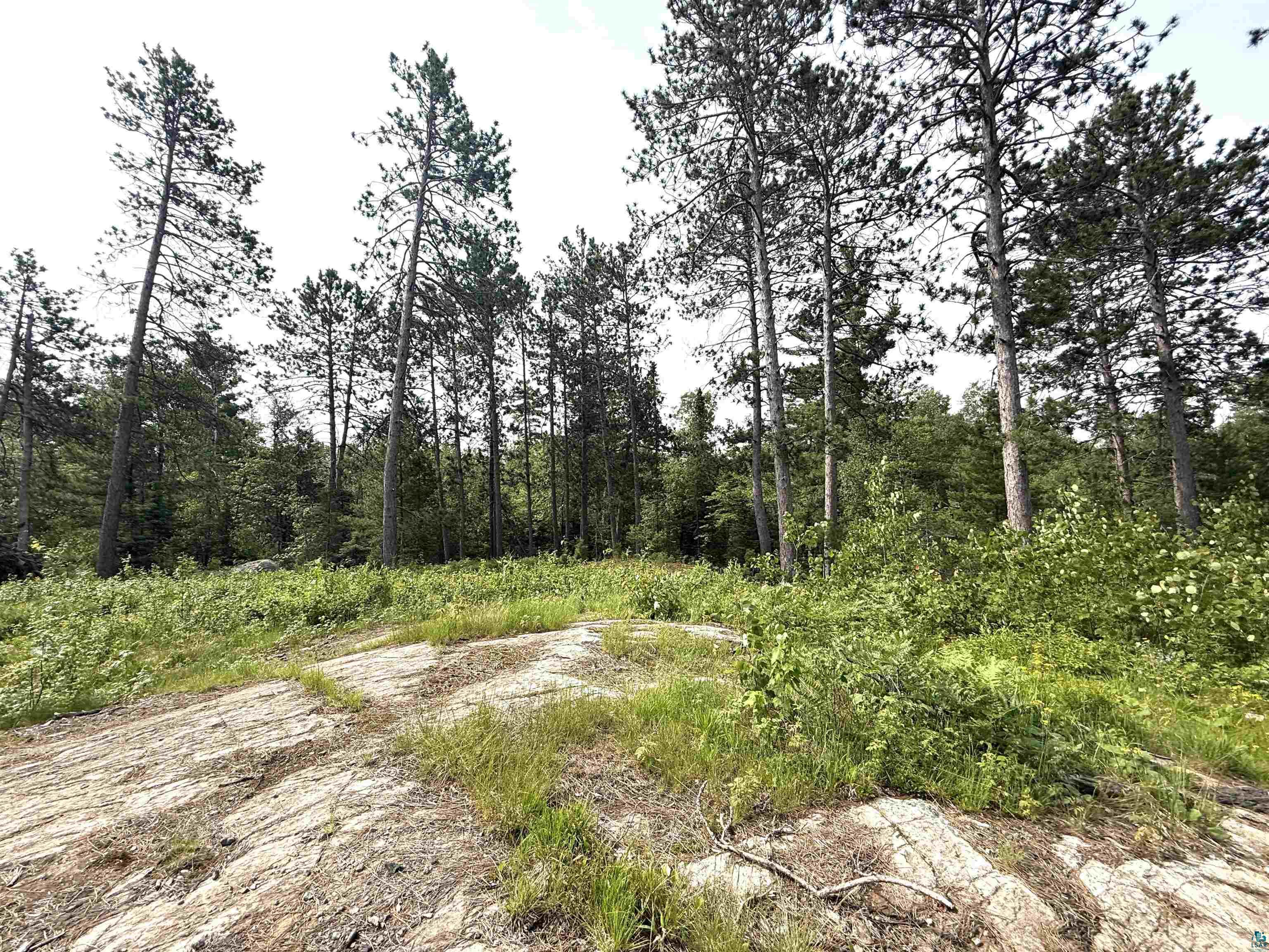 1648 Golden Rdg Trail Ely, MN 55731 - Photo 10 of 19