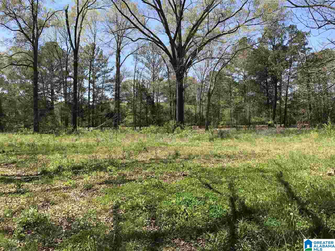 4133 Roy Webb Road, Unit 1 Jacksonville, AL 36265 - Photo 9 of 40