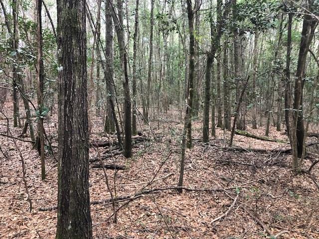 25-ac Gantt Road Andalusia, AL 36421 - Photo 11 of 36 Gallery Image 11