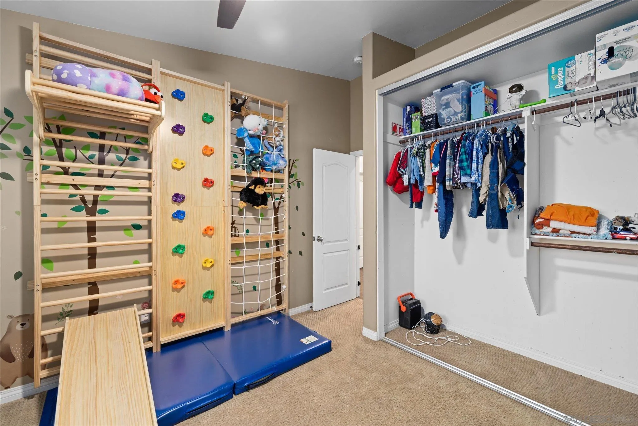 1714 Foss Road Alpine, CA 91901 - Photo 29 of 62 a view of walk in closet with clothes and shoes