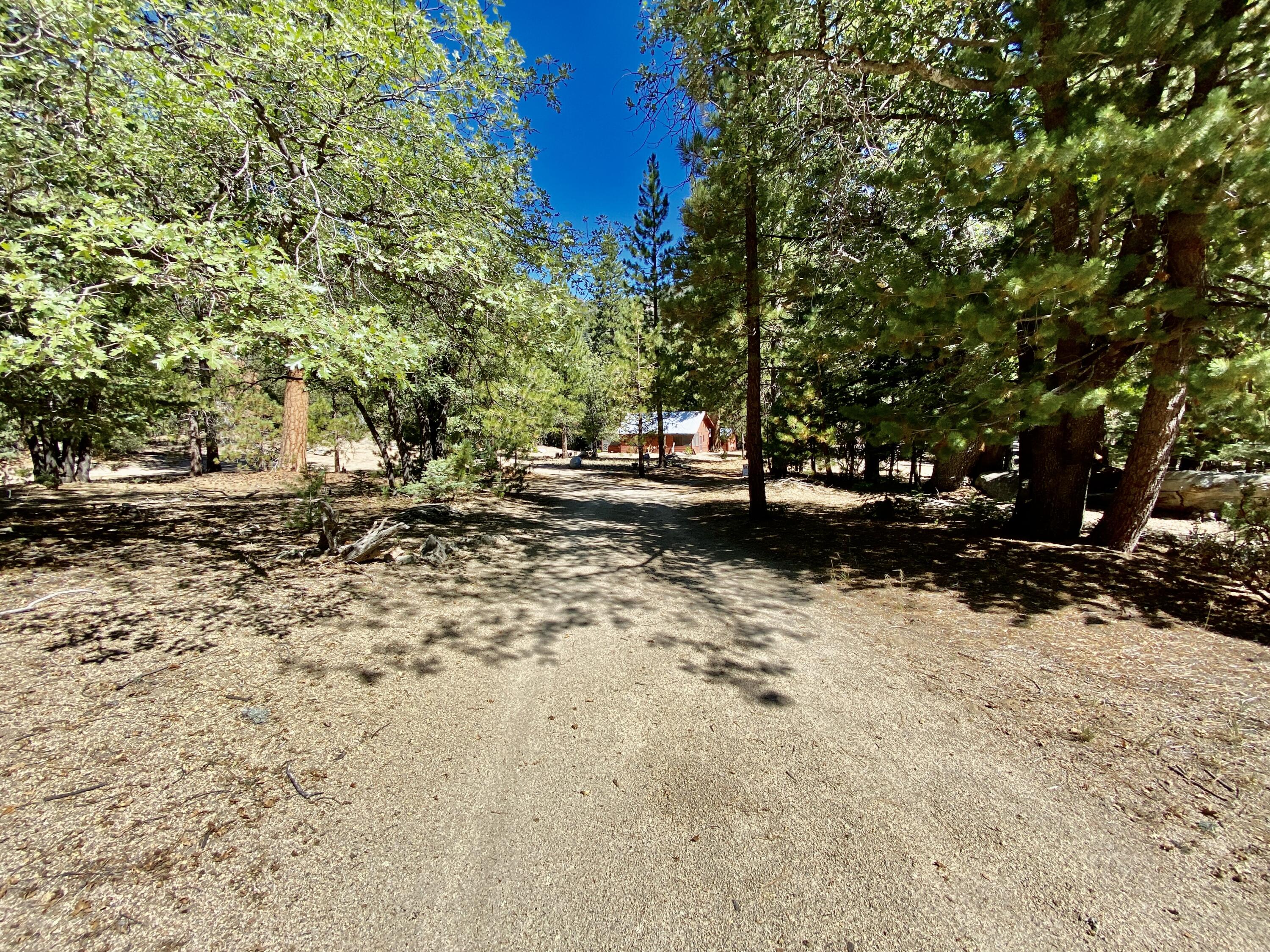 53080 4s02 Idyllwild, CA 92549 - Photo 35 of 77 a view of dirt yard with a tree
