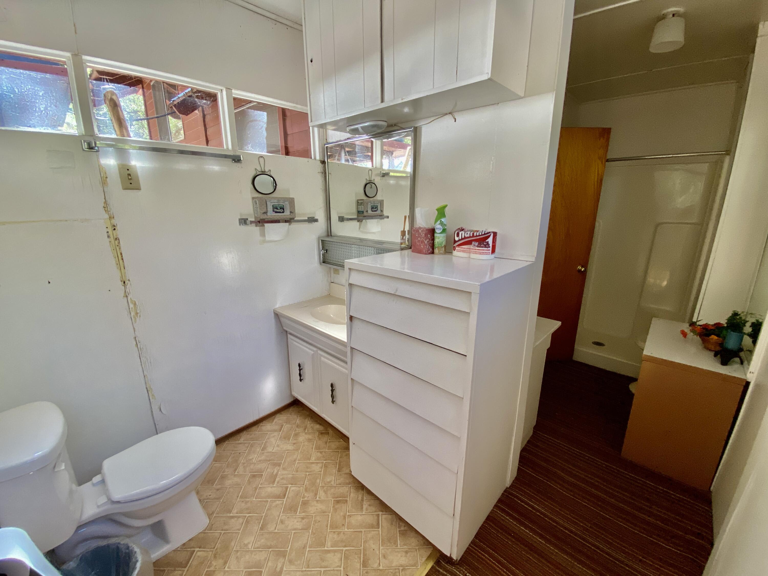 53080 4s02 Idyllwild, CA 92549 - Photo 52 of 77 a bathroom with a sink a toilet and shower