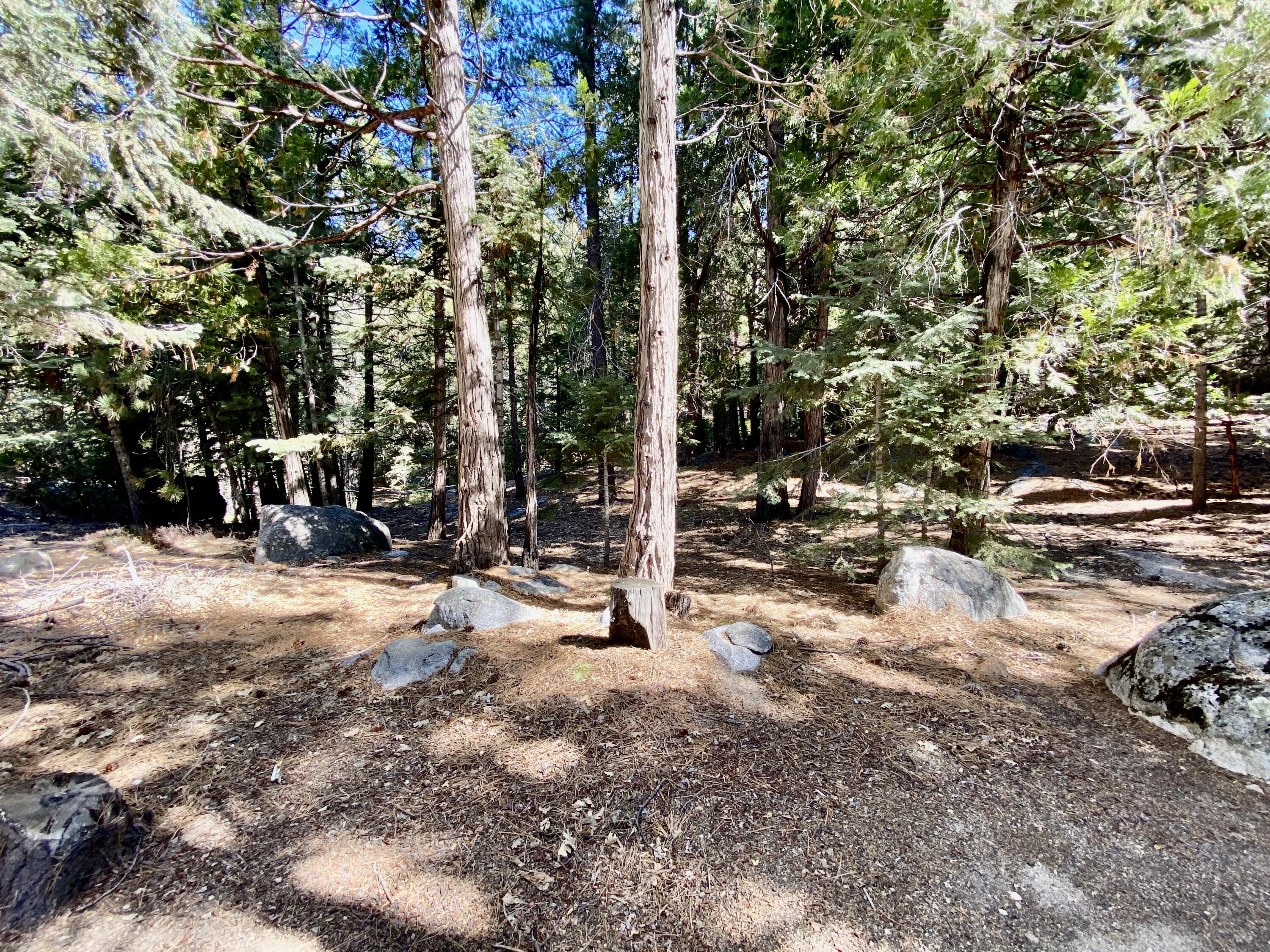53080 4s02 Idyllwild, CA 92549 - Photo 65 of 77 IMG_E3609