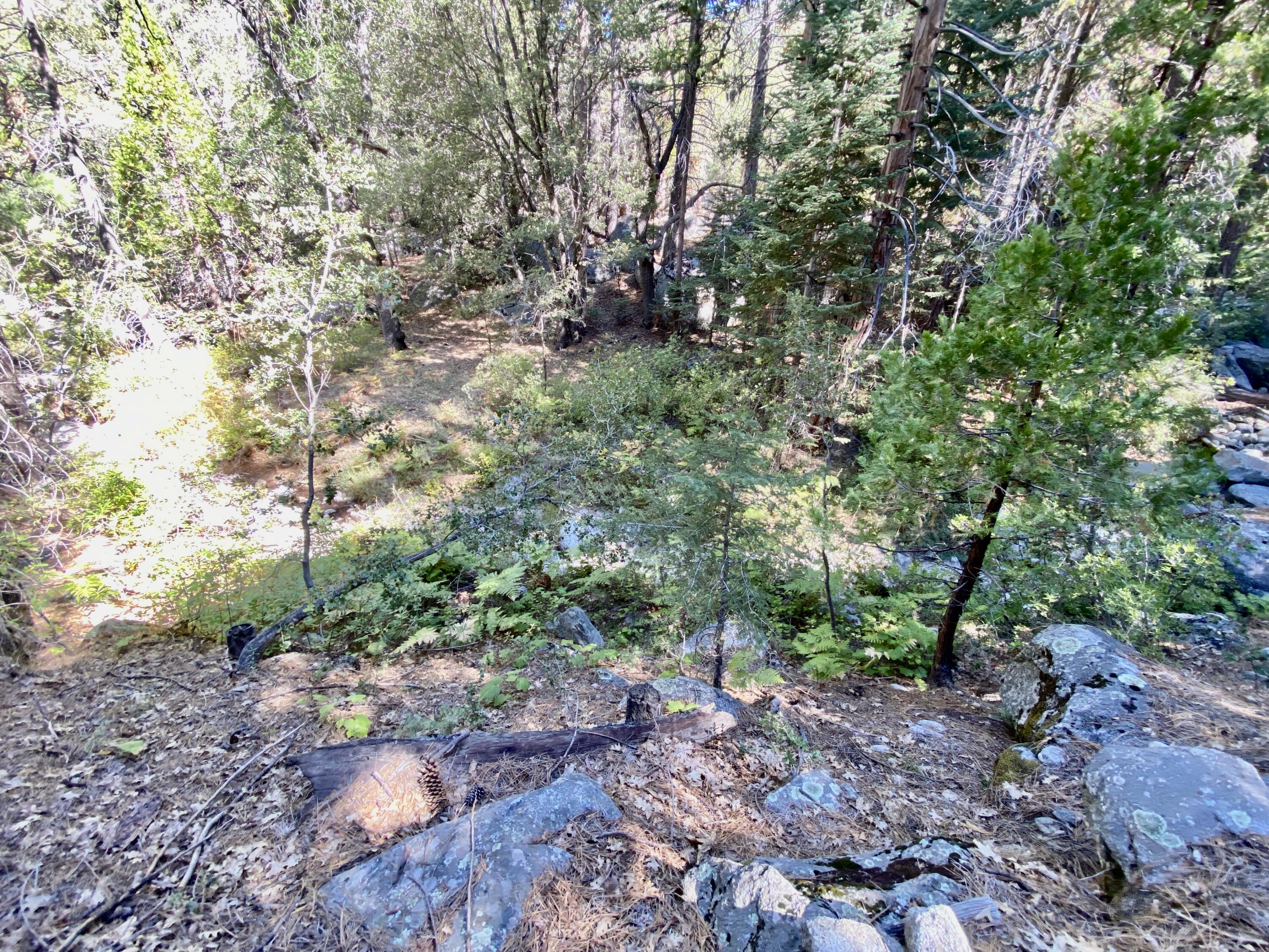 53080 4s02 Idyllwild, CA 92549 - Photo 66 of 77 a big yard with lots of green space