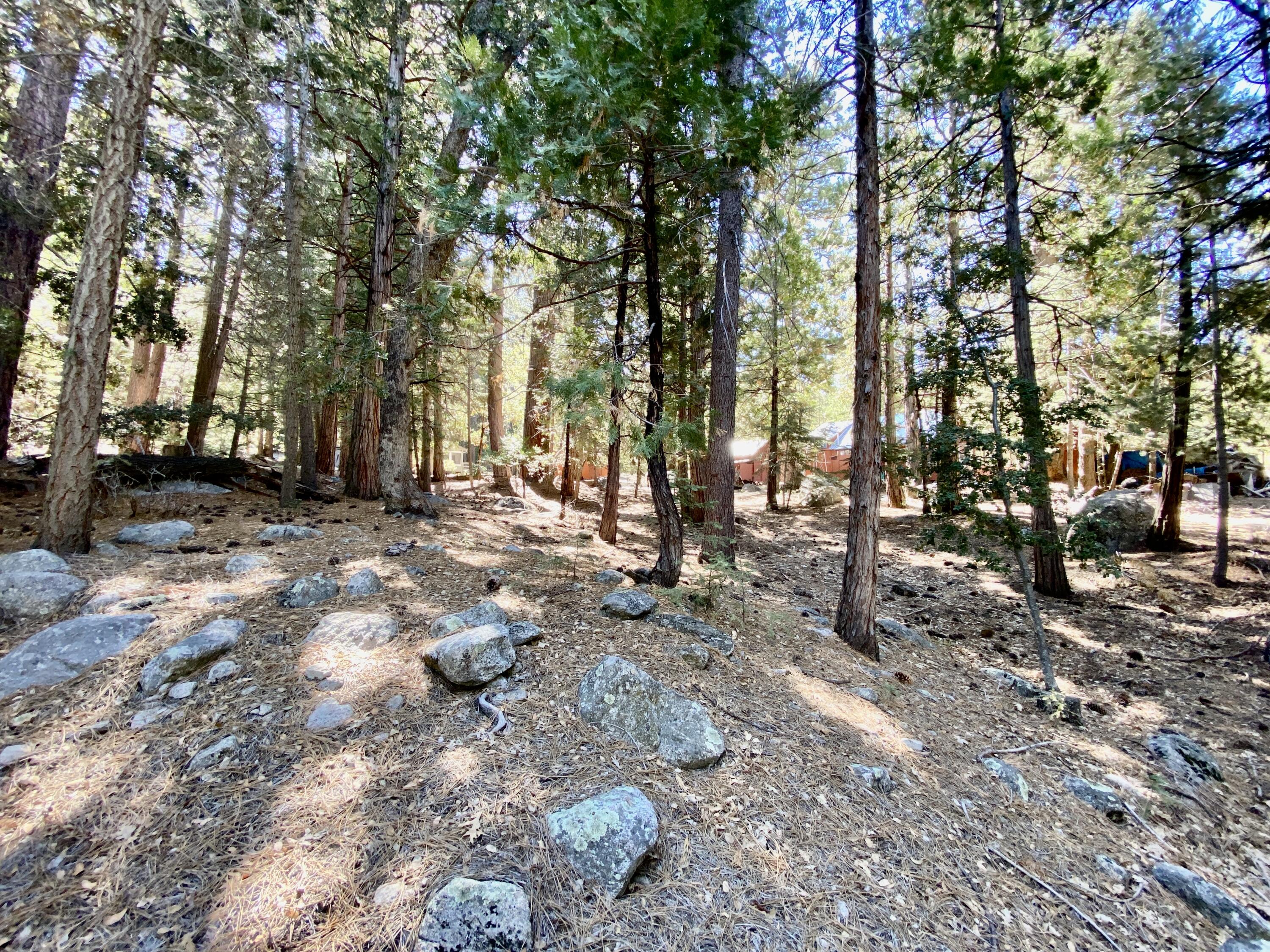 53080 4s02 Idyllwild, CA 92549 - Photo 68 of 77 a backyard of a house with lots of green space