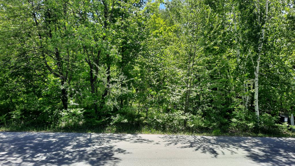 4286 Harbor School Road Egg Harbor, WI 54209 - Photo 3 of 6