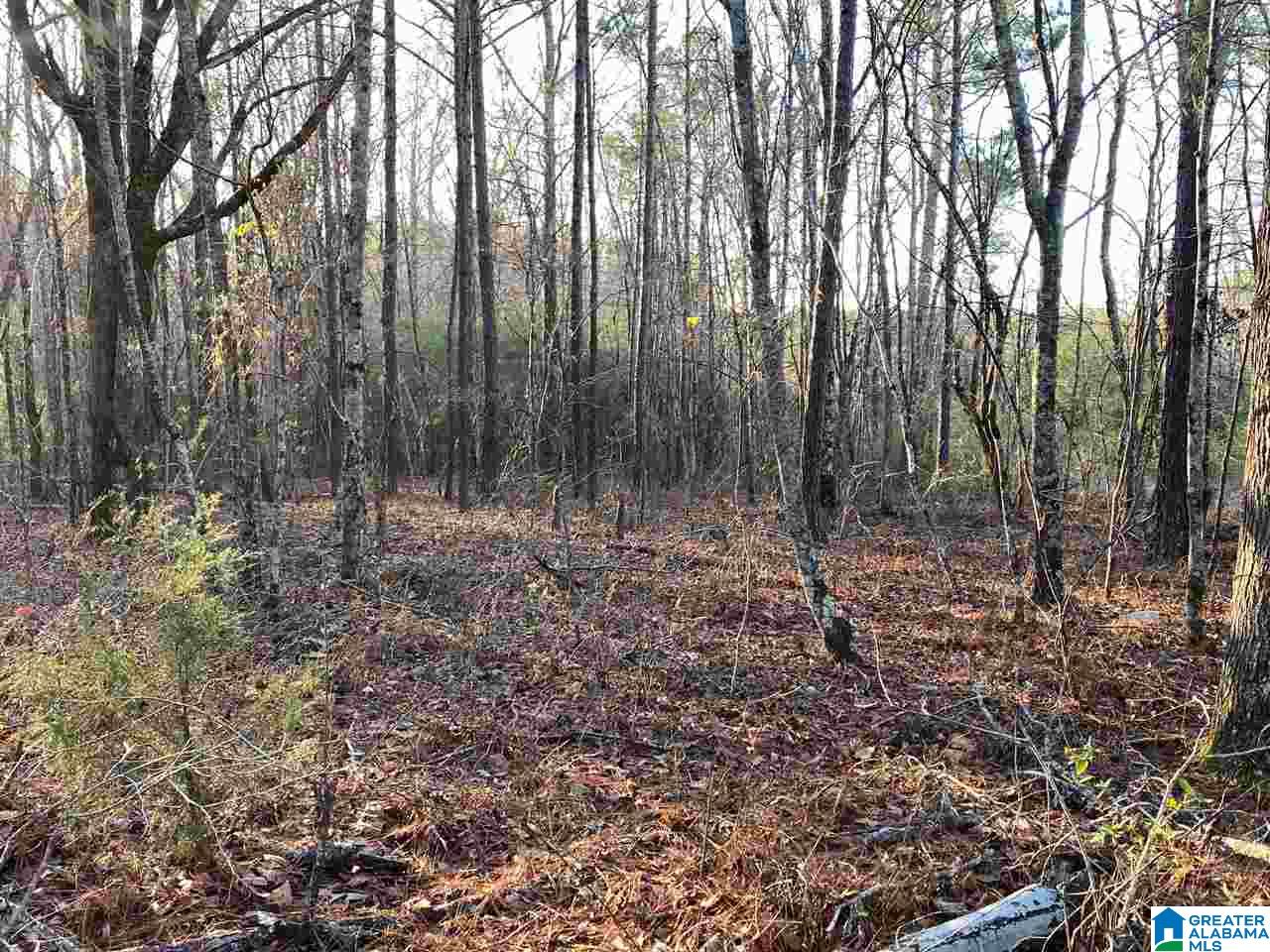 0 Florida Road, Unit 20 ACRES Pell City, AL 35125 - Photo 4 of 6 Gallery Image 4