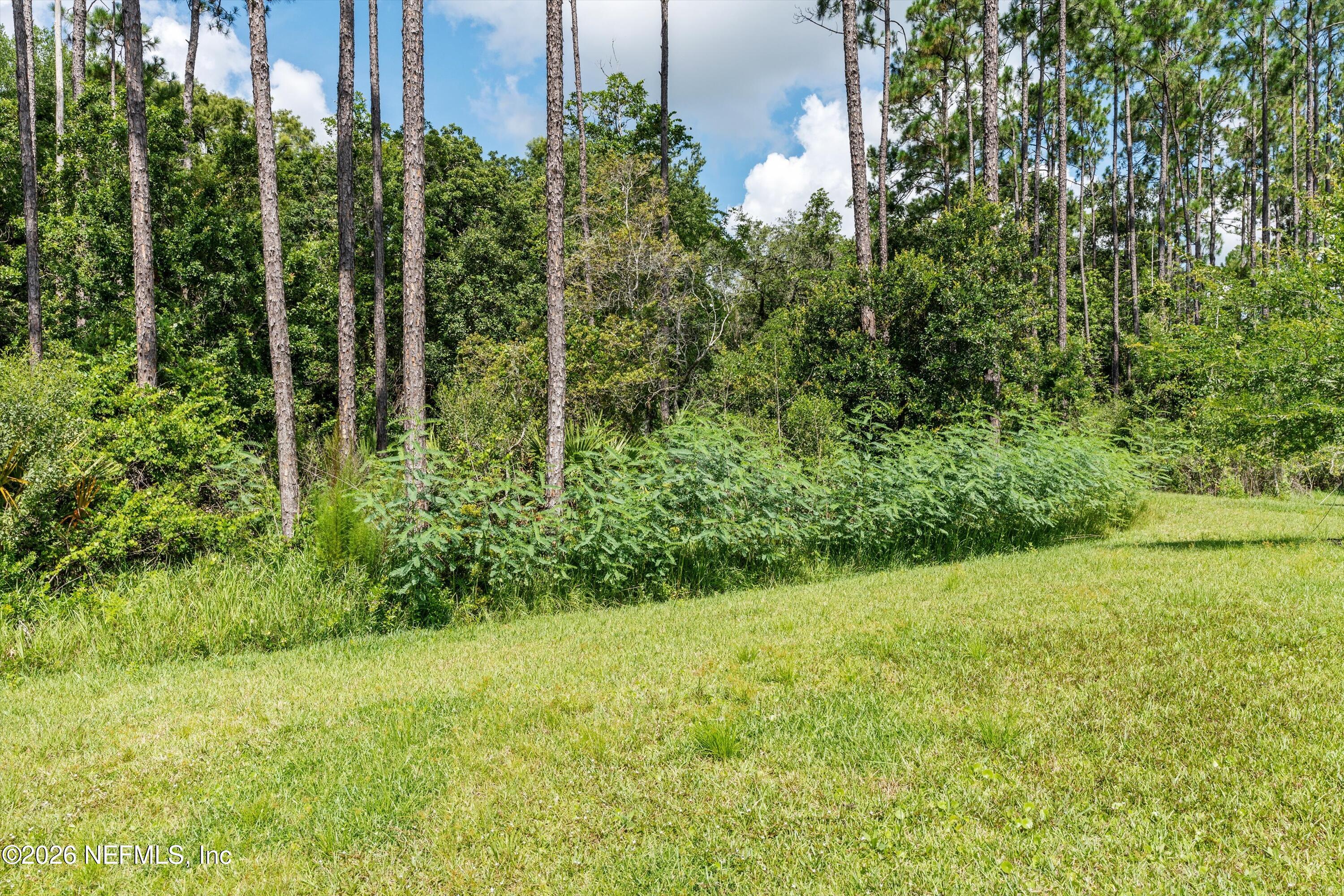 91 Rivertown Road Palm Coast, FL 32137 - Photo 32 of 36 31-Backyard View