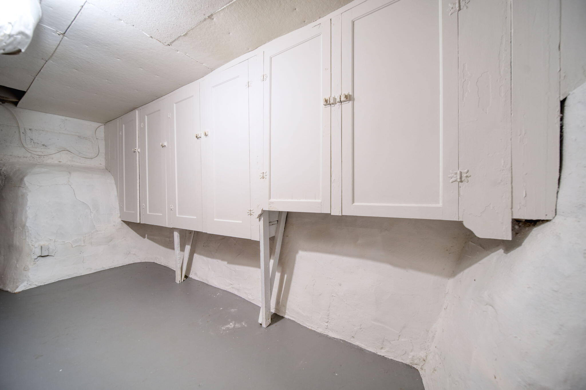 110 South Wisner Street Jackson, MI 49203 - Photo 32 of 44 basement