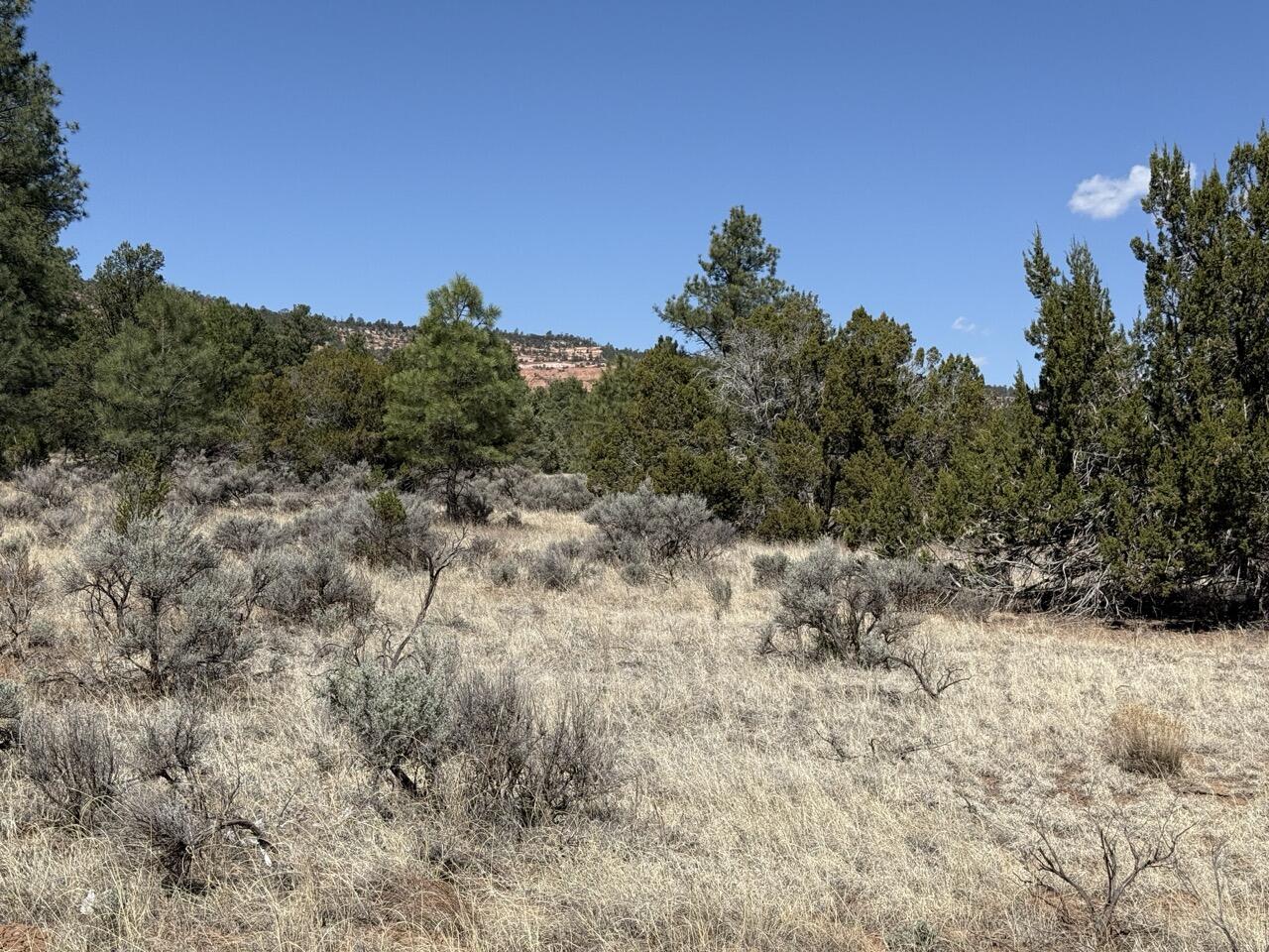 823 Timberlake Road Ramah, NM 87321 - Photo 34 of 47 Gallery Image 34