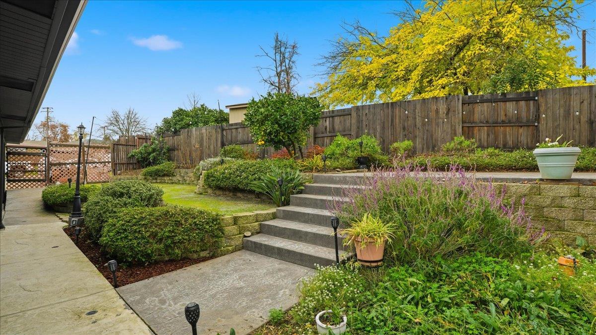 5701 Chipping Way Citrus Heights, CA 95621 - Photo 6 of 41 a view of a garden with plants and large trees
