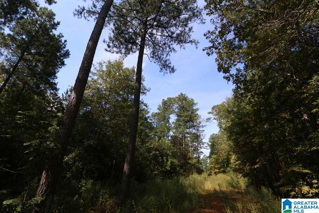 Sprayberry Road, Unit 103 Cropwell, AL 35054 - Photo 41 of 48
