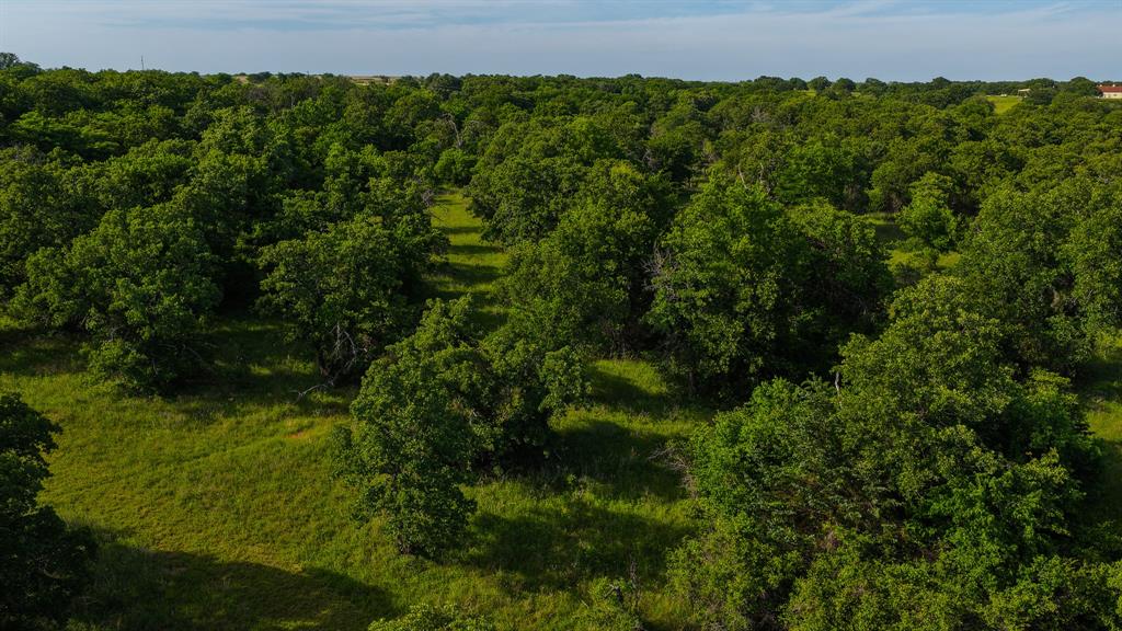 3641 Carpenter Road Nocona, TX 76255 - Photo 6 of 38
