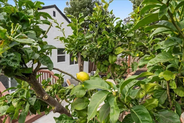 $805,000 | 6032 Mauritania Avenue, Oakland, CA 94605