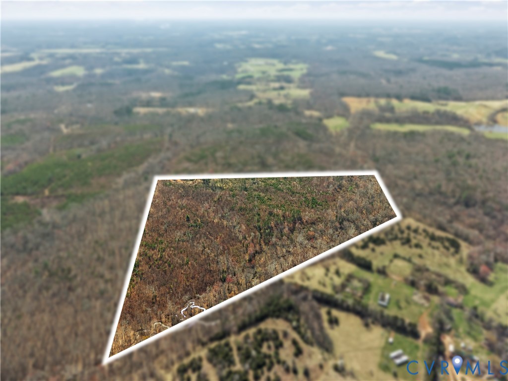 Expansive land parcel featuring dense tree coverag