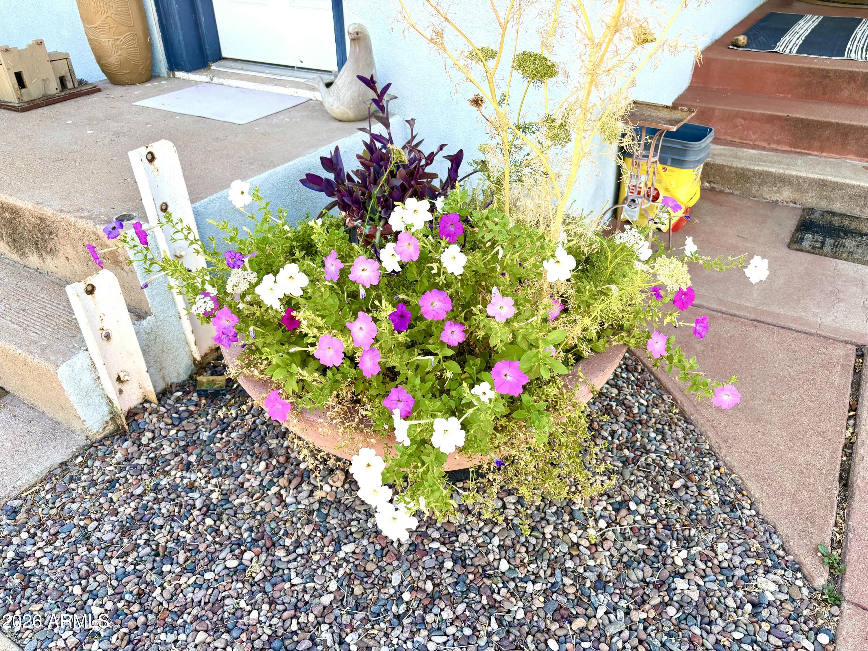 74 Neptune Avenue Bisbee, AZ 85603 - Photo 21 of 22 Pots