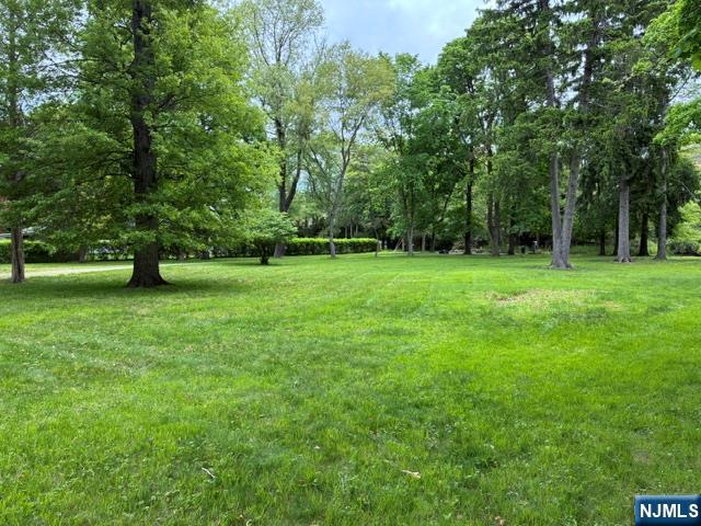 19 Crescent Road Wayne, NJ 07470 - Photo 24 of 26 a view of a grassy field with trees in the background