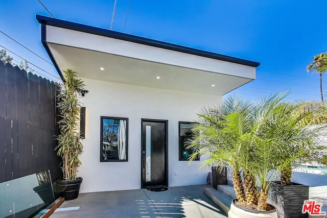 a potted plant sitting in front of a building