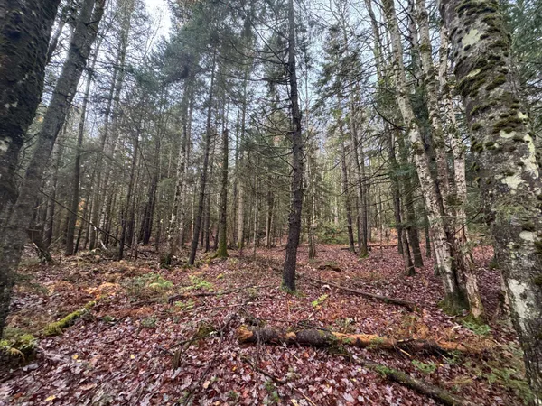 $145,000 | 10 Hampshire Hill Road, Worcester, VT 05682