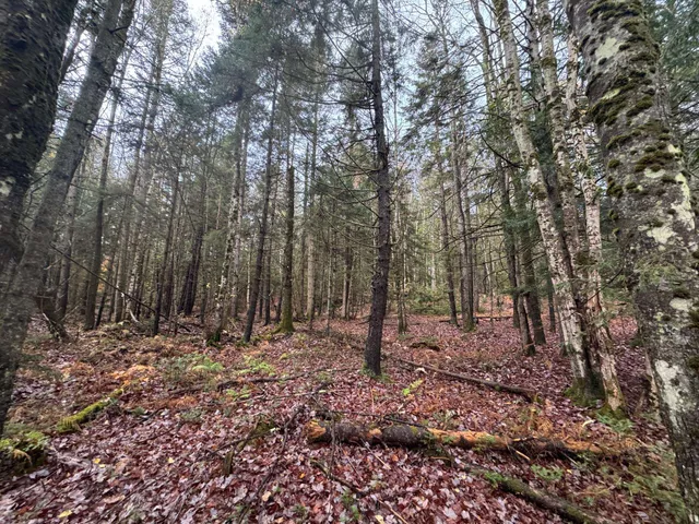 $150,000 | 10 Hampshire Hill Road, Worcester, VT 05682