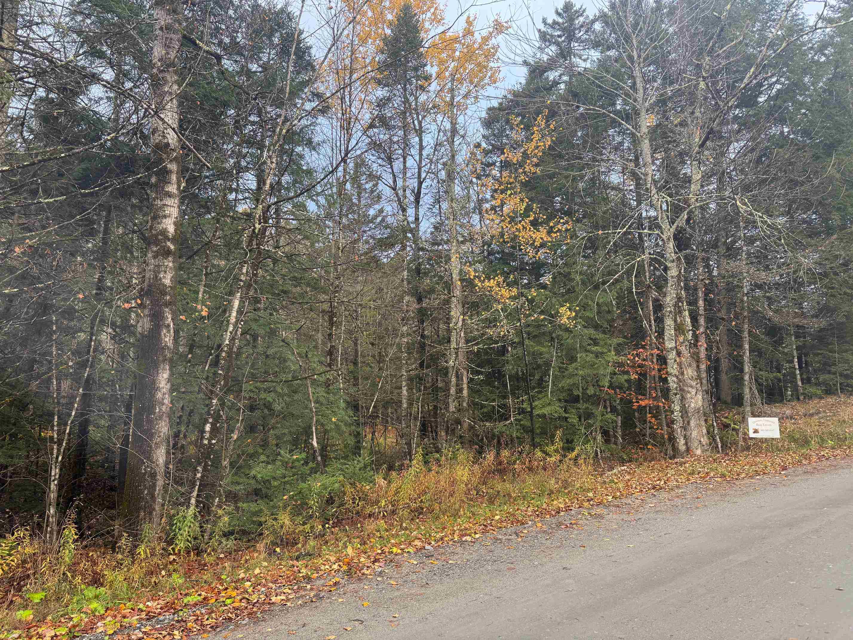 10 Hampshire Hill Road Worcester, VT 05682 - Photo 11 of 16