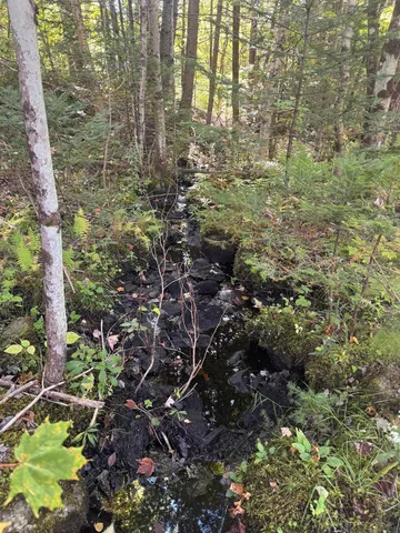 $150,000 | 10 Hampshire Hill Road, Worcester, VT 05682