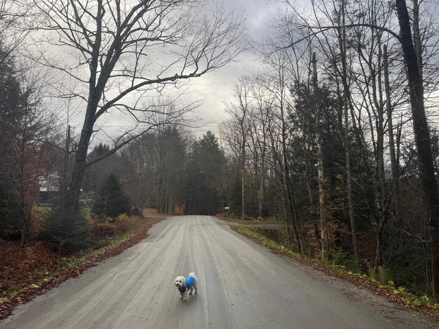 $150,000 | 10 Hampshire Hill Road, Worcester, VT 05682