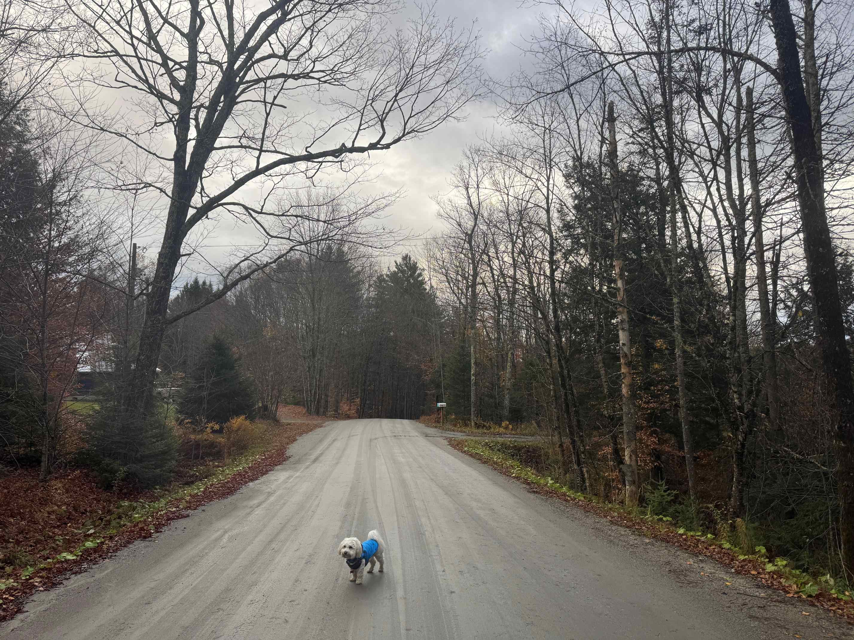10 Hampshire Hill Road Worcester, VT 05682 - Photo 15 of 16