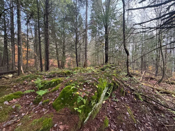 $145,000 | 10 Hampshire Hill Road, Worcester, VT 05682