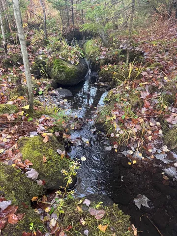 $150,000 | 10 Hampshire Hill Road, Worcester, VT 05682