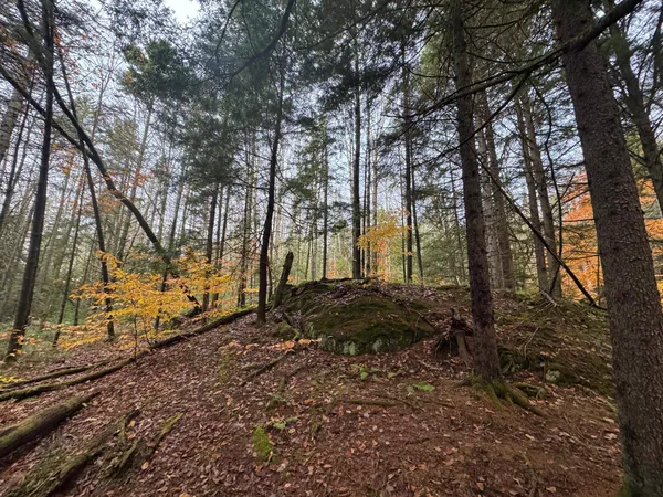 $145,000 | 10 Hampshire Hill Road, Worcester, VT 05682