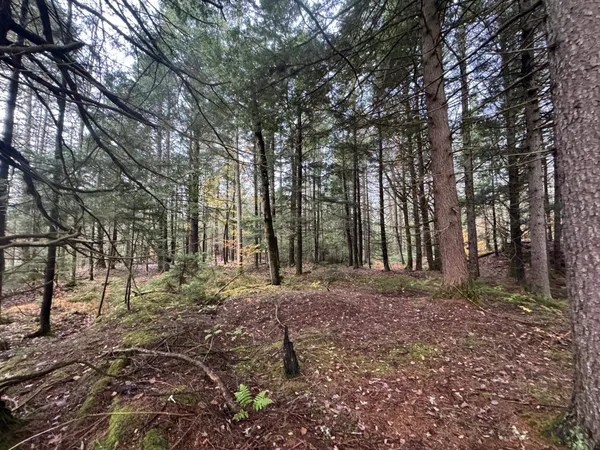 $145,000 | 10 Hampshire Hill Road, Worcester, VT 05682