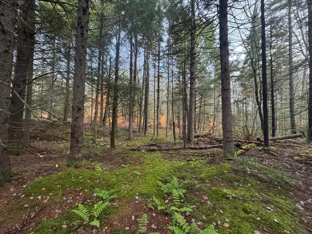 $150,000 | 10 Hampshire Hill Road, Worcester, VT 05682