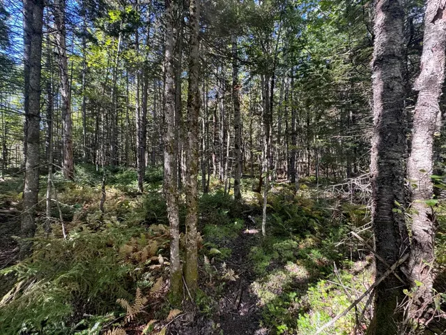 $150,000 | 10 Hampshire Hill Road, Worcester, VT 05682