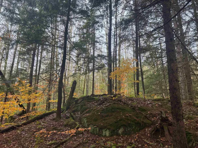 $150,000 | 10 Hampshire Hill Road, Worcester, VT 05682