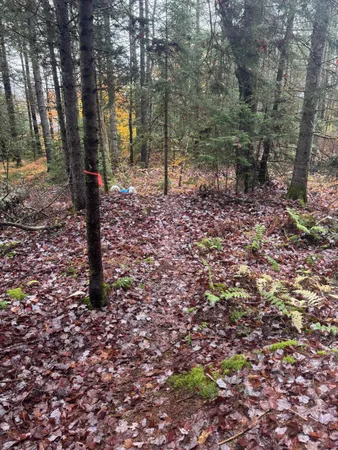 $145,000 | 10 Hampshire Hill Road, Worcester, VT 05682