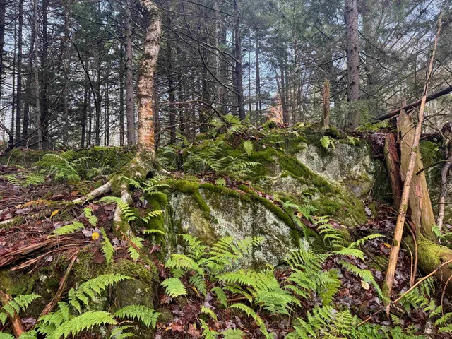 $150,000 | 10 Hampshire Hill Road, Worcester, VT 05682