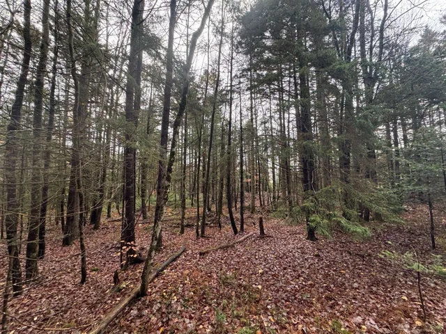 $150,000 | 10 Hampshire Hill Road, Worcester, VT 05682