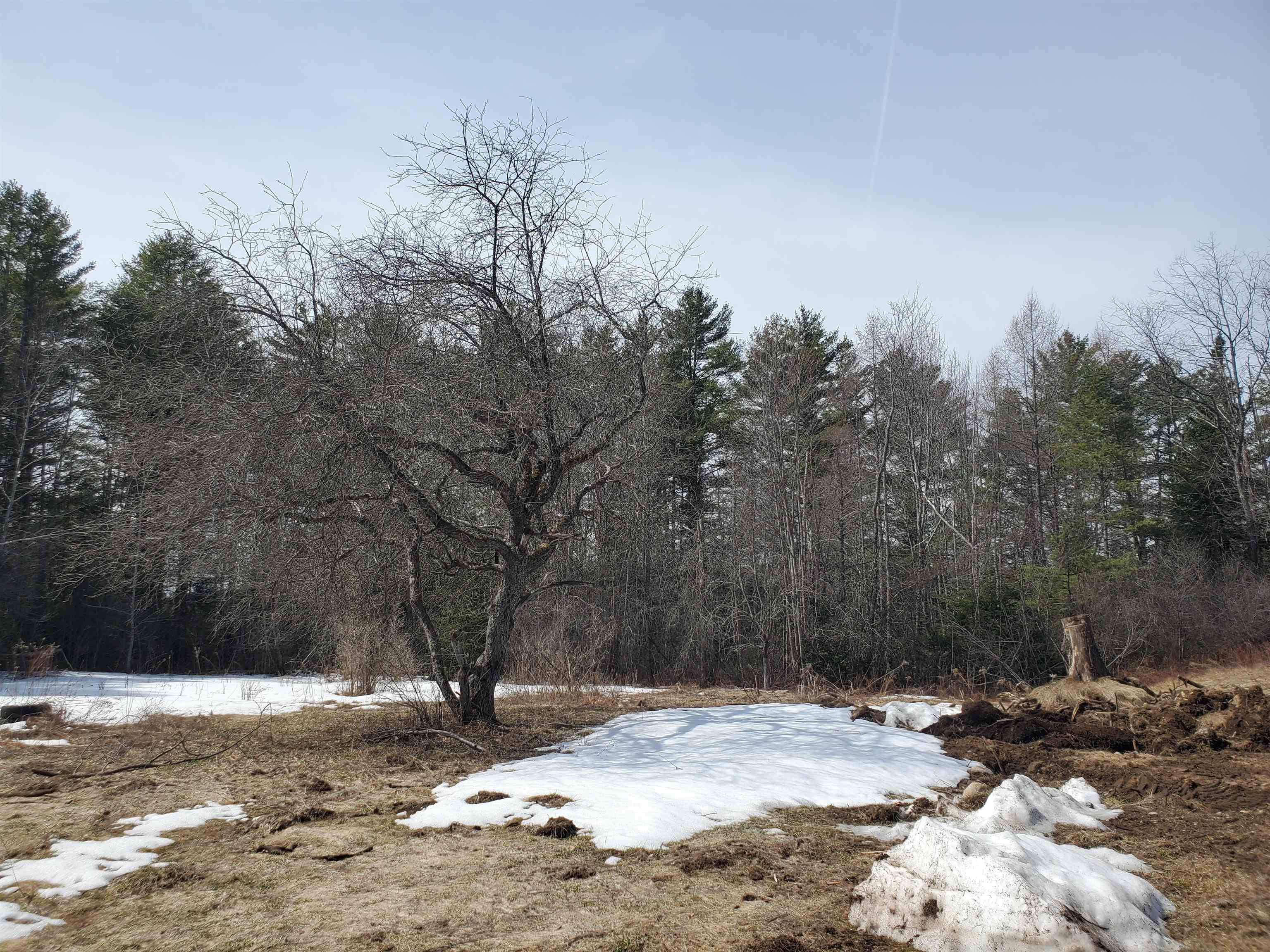 408 Hardy Hill Road Grafton, NH 03240 - Photo 12 of 38