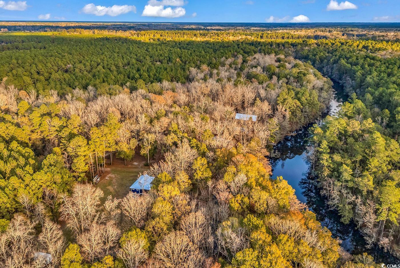 32 Old Place Kingstree, SC 29556 - Photo 27 of 40 Bird's eye view of a heavily wooded area