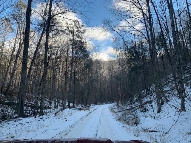 Tbd Upper Back Creek Road Monterey, VA 24465 - Photo 13 of 13 a view of a backyard of a house