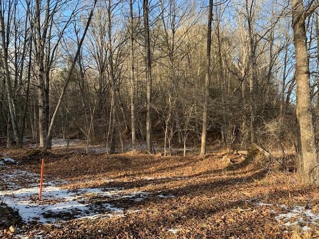 Tbd Upper Back Creek Road Monterey, VA 24465 - Photo 5 of 13 a backyard of a house with lots of green space