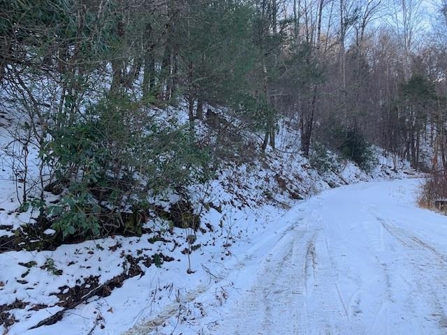 Tbd Upper Back Creek Road Monterey, VA 24465 - Photo 6 of 13 a view of a yard with trees